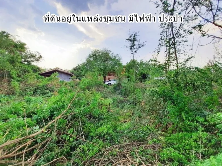 เจ้าของ ขายที่ดินโฉนด วิวเขา ใกล้น้ำตก ตตะเบา อเมือง จเพชรบูรณ์ ติดถนนสาธารณะ มีไฟฟ้า ประปา