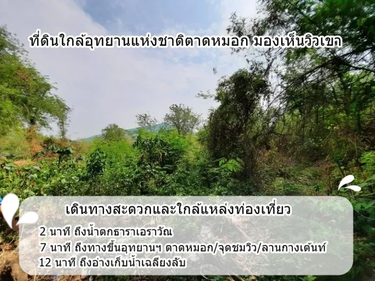 เจ้าของ ขายที่ดินโฉนด วิวเขา ใกล้น้ำตก ตตะเบา อเมือง จเพชรบูรณ์ ติดถนนสาธารณะ มีไฟฟ้า ประปา