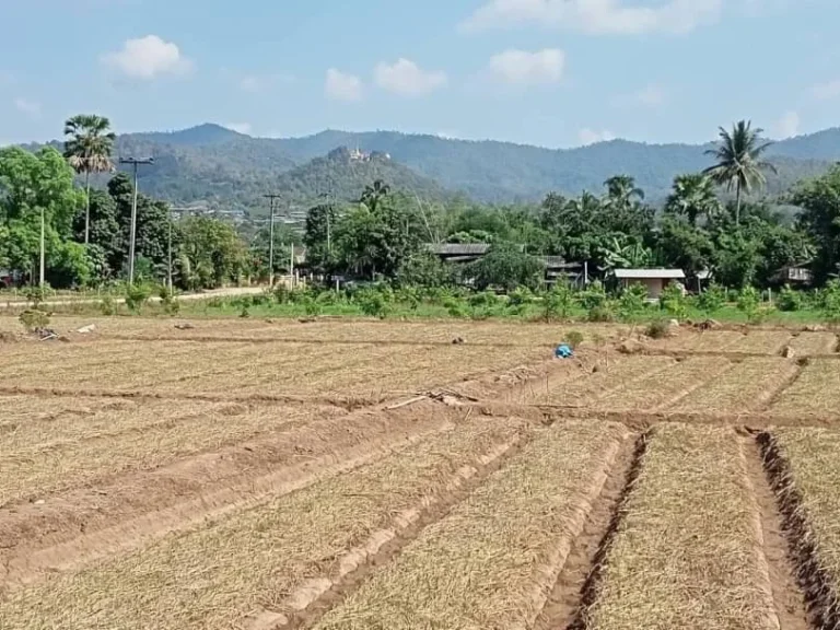 ขายที่ดินติดแม่น้ำปิง วิวภูเขา อเชียงดาว เชียงใหม่