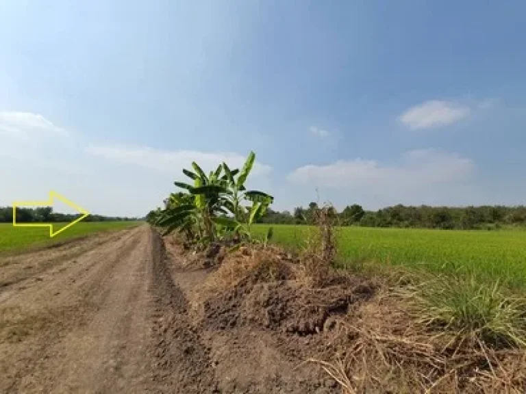 ขายที่ดินคลอง10 หนองเสือ ติดถนนซอยเรียบคลอง ขนาด 600 ตรว เหมาะทำการเกษตร ปลูกบ้าน