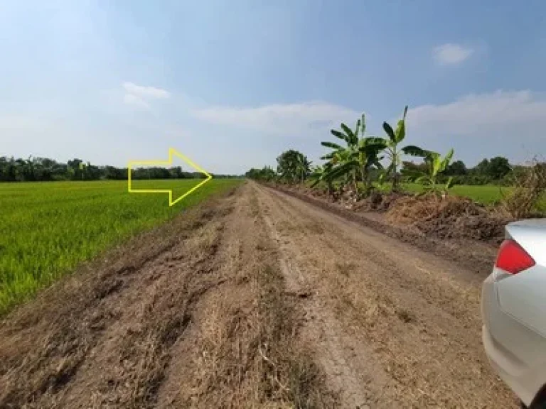 ขายที่ดินคลอง10 หนองเสือ ติดถนนซอยเรียบคลอง ขนาด 600 ตรว เหมาะทำการเกษตร ปลูกบ้าน