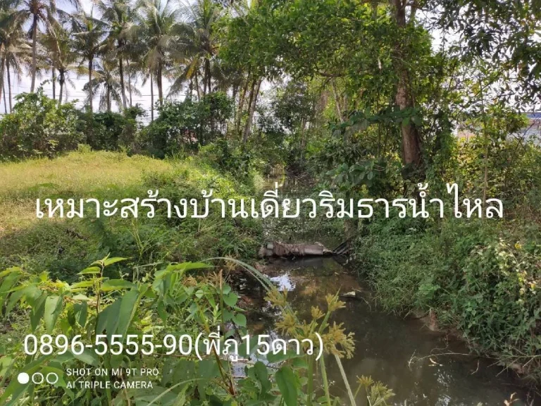 ขายที่ดิน 121ตรว4หัอง หลัง รรวัดควนลังหาดใหญ่ ขาย3ล้านบาท