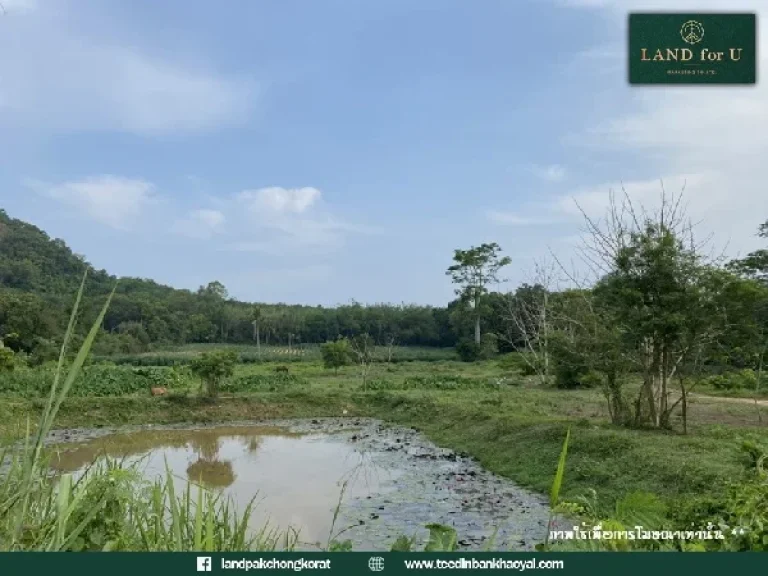 ขายที่ดินติดถนนสุขุมวิท ที่ดินบ้านเพระยอง ใกล้ชายหาดสวนสน เพียง 5 นาที ใกล้แหล่งท่องเที่ยว ติดถนนทำเลดีมาก