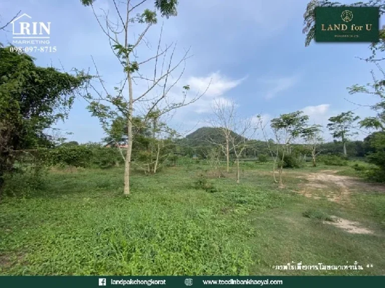 ขายที่ดินติดถนนสุขุมวิท ใกล้ชายหาดสวนสน เพียง 5 นาที ที่ดินบ้านเพระยอง ใกล้แหล่งท่องเที่ยว ติดถนนทำเลดีมากๆ