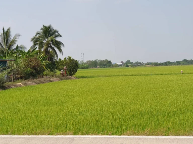 ขายที่ดินลาดหลุมแก้ว ระแหง ลาดหลุมแก้ว ปทุมธานี