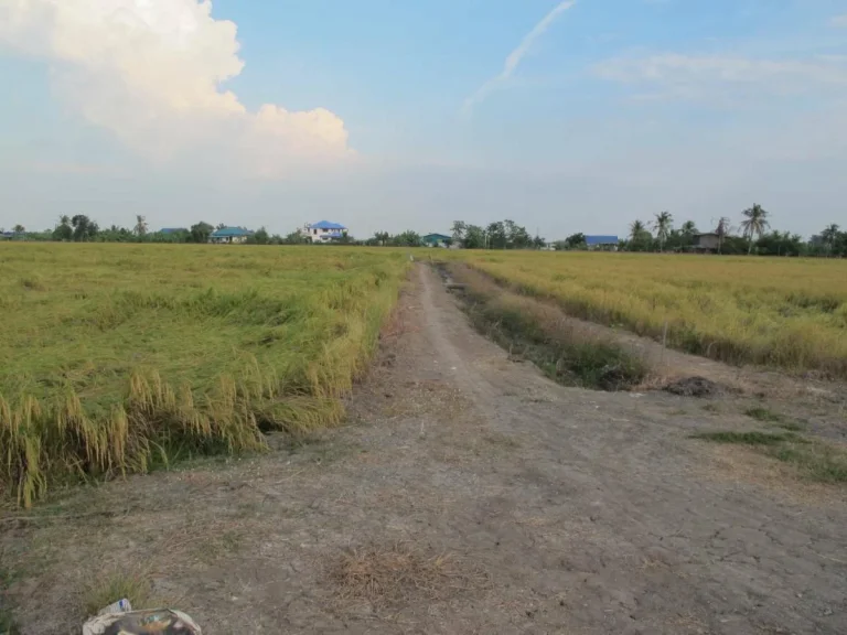 ขายที่ดินลาดหลุมแก้ว ระแหง ลาดหลุมแก้ว ปทุมธานี