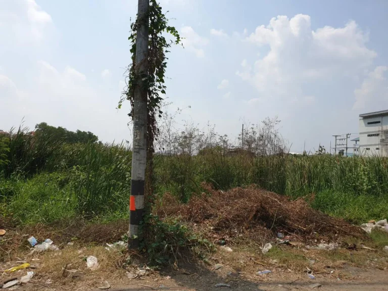 ขายที่ดินติดถนน รังสิตปทุมธานี บางพูน เมืองปทุมธานี ปทุมธานี