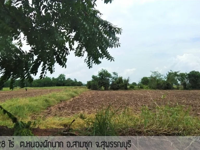 ขายที่ดินสามชุก สุพรรณบุรี เกือบ10ไร่ 22 ล้าน เจ้าของขายเอง