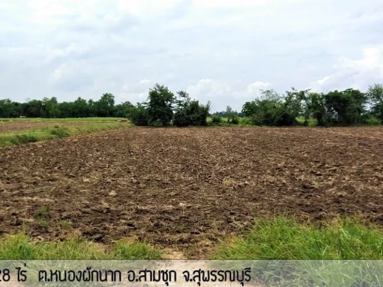 ขายที่ดินสามชุก สุพรรณบุรี เกือบ10ไร่ 22 ล้าน เจ้าของขายเอง