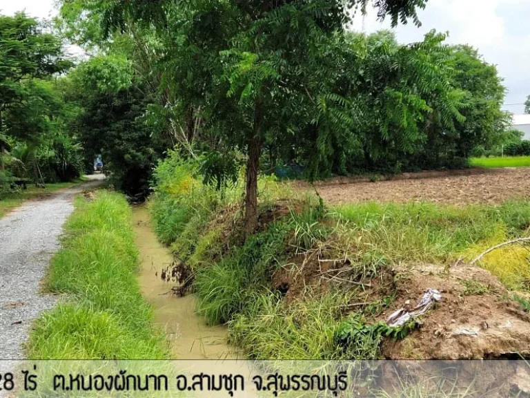 ขายที่ดินสามชุก สุพรรณบุรี เกือบ10ไร่ 22 ล้าน เจ้าของขายเอง