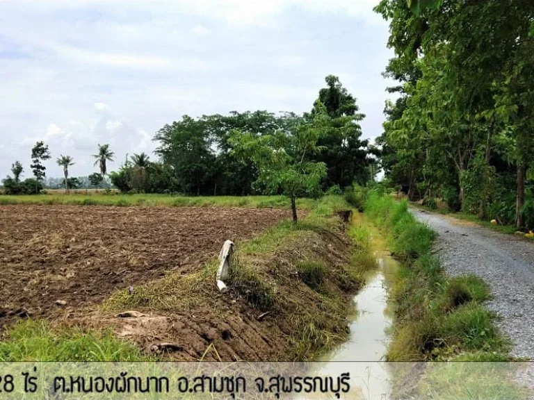 ขายที่ดินสามชุก สุพรรณบุรี เกือบ10ไร่ 22 ล้าน เจ้าของขายเอง