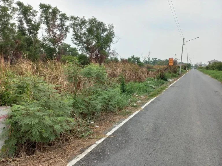 ขายที่ดิน 200 ตรว ซอยบงกช8 คลองหลวง ปทุมธานี