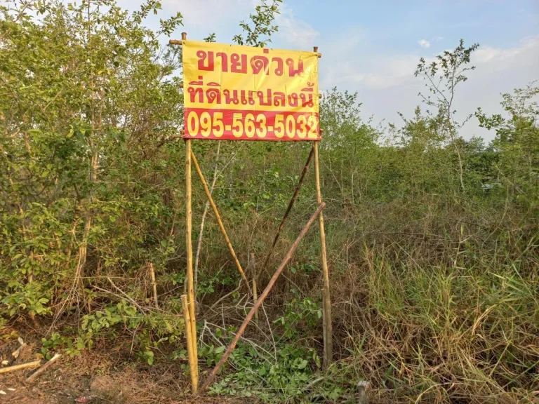 ขายที่ถมแล้ว 100 ตรว ใกล้วัดปลายคลองขุนศรี ไทรใหญ่ ไทรน้อย นนทบุรี