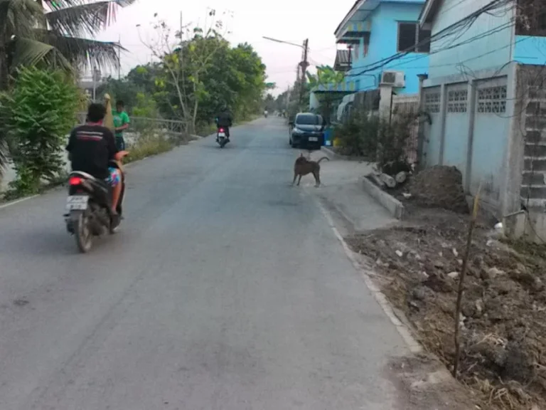 ขายที่ดิน 515 ตรวติดถนนหน้าหลัง ติดถนนเลียบคลอง2 เหมาะทำธุรกิจ