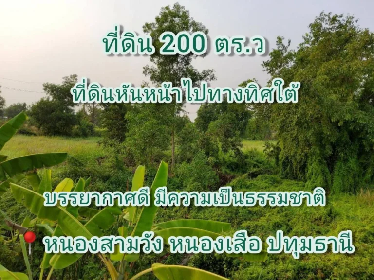 ขายที่ดิน 200 ตารางวา ซอยลำน้ำพัฒนา 1 คลอง 12 ฝั่งตะวันตก อำเภอหนองเสือ จังหวัดปทุมธานี