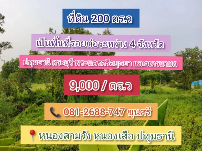 ขายที่ดิน 200 ตารางวา ซอยลำน้ำพัฒนา 1 คลอง 12 ฝั่งตะวันตก อำเภอหนองเสือ จังหวัดปทุมธานี