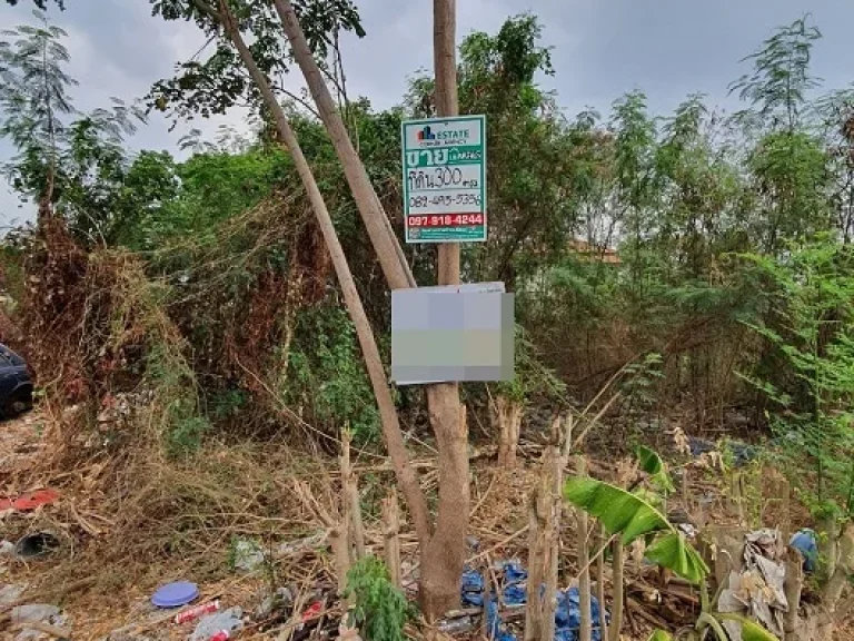 ขาย ที่ดิน 300 ตรว มปิ่นเจริญ 2 สรงประภา - 73252 -