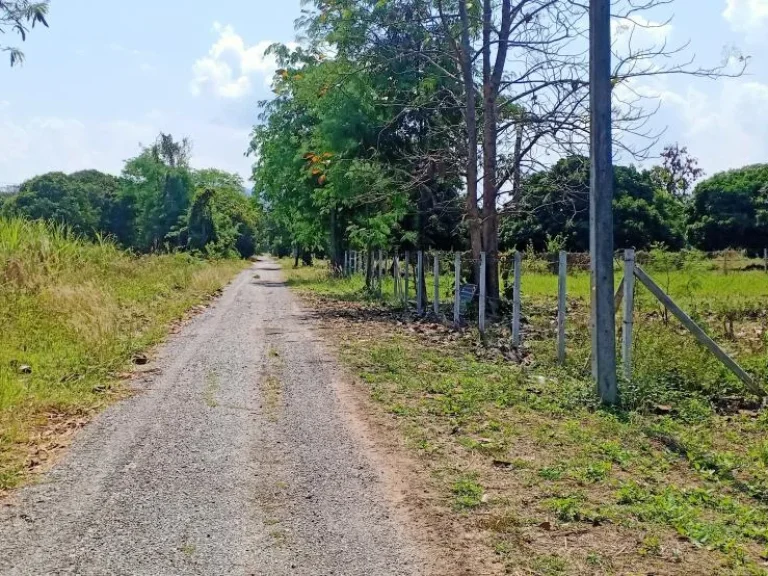 ขายที่สวนถมดินเรียบร้อยร้องวัวแดง สันกำแพง ราคาถูก