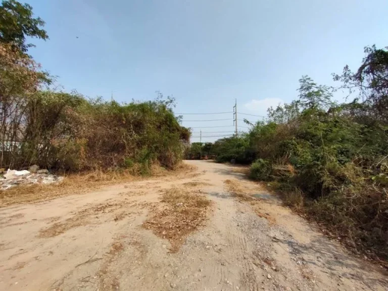 ที่ดินแปลงสวยติดถนนใหญ่สายบายพาส กรุงเทพ-ลพบุรี บายพาสเสาไห้