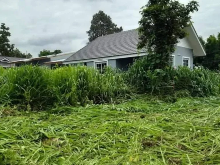 ขายที่ดินสันป่าตองยุหว่า ใกล้โรงพยาบาลสันป่าตอง