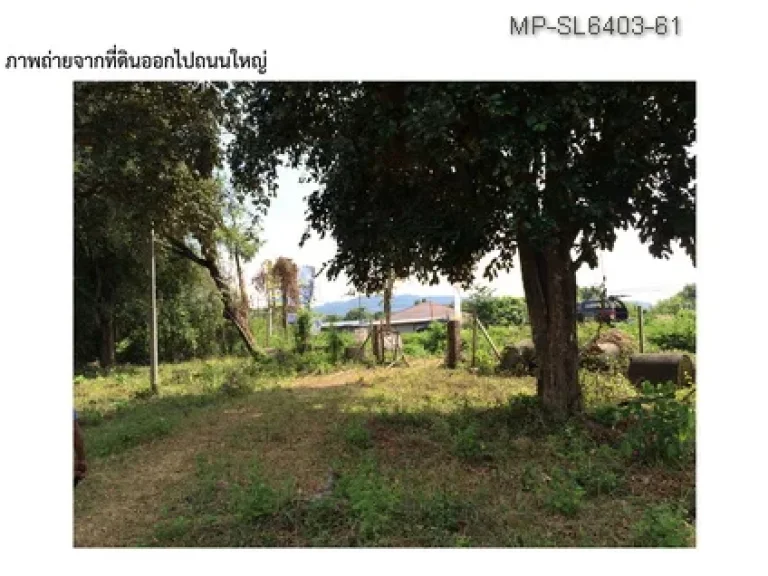 ขายที่ดิน นครนายก สาลิกา-นางรอง ที่ดิน 82ไร่ ทำเลดี ติดถนนหลวง ใกล้สนามกอล์ฟ Royal Hill