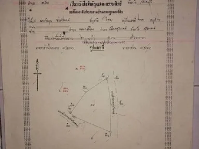 ขายที่ดินมีโฉนดเหมาะกับการทำสวนทุเรียน 20 ไร่ 3 งาน 76 ตรวา จจันทบุรี