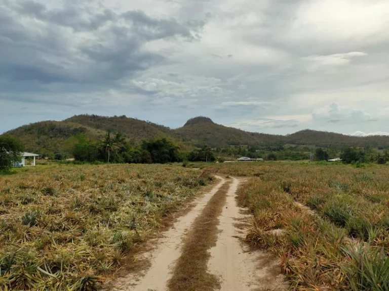 ขายที่ดินวิวภูเขาล้อมรอบ หัวหิน ทับใต้