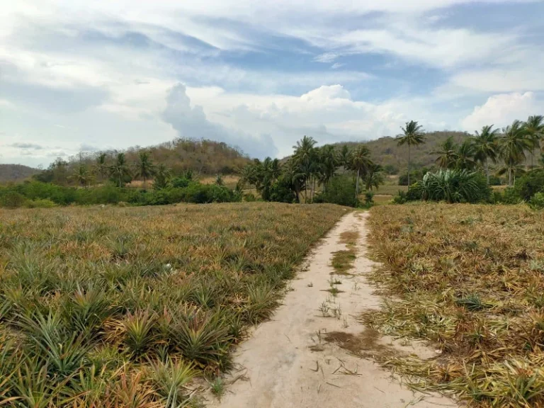 ขายที่ดินวิวภูเขาล้อมรอบ หัวหิน ทับใต้