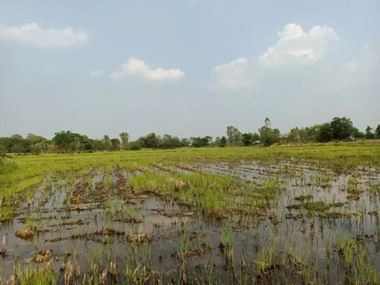 ขายที่ดิน 9-2-81ไร่ ตพระลับ อเมืองขอนแก่น จขอนแก่น