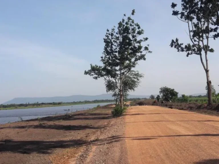 ที่ดินขายด่วนผืนงามติดบึงหนองแปน ตกุดกว้าง อหนองเรือ จ ขอนแก่น