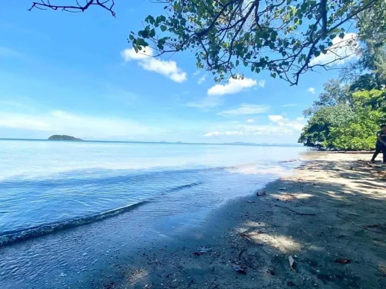 ที่ดินเกาะศรีบอยา จังหวัดกระบี่