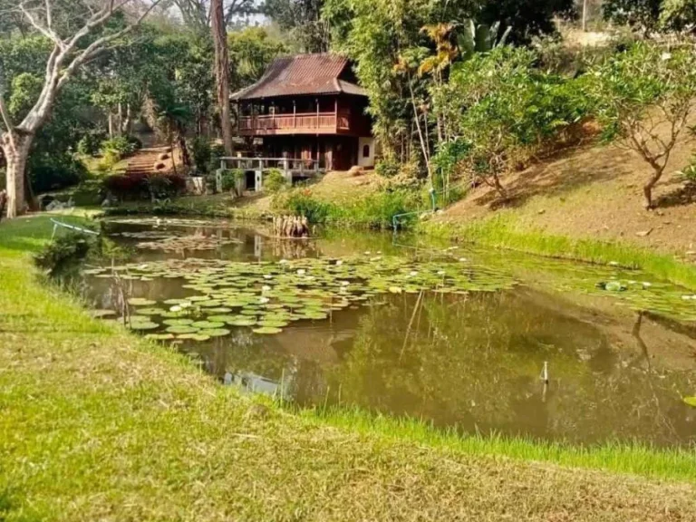 ขายที่ดินพร้อมสิ่งปลูกสร้าง ติดลำธาร หางดง เชียงใหม่