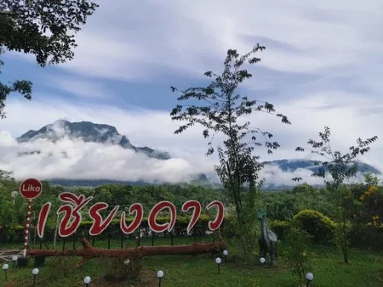 ขายม่อนเคียงดาวรีสอร์ทฯ ระเบียงกาแฟ จเชียงใหม่