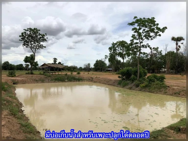 ที่ดินสุพรรณบุรี - ทำเลดีอยู่ในชุมชน เหมาะทำบ้านสวนยามเกษียณ