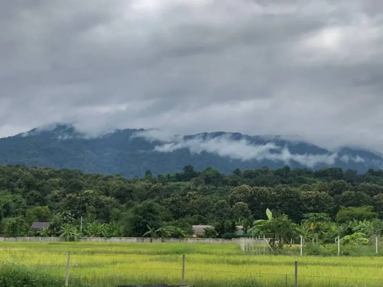 ที่นาวิวภูเขาสวย แม่ริมใกล้เมืองเชียงใหม่