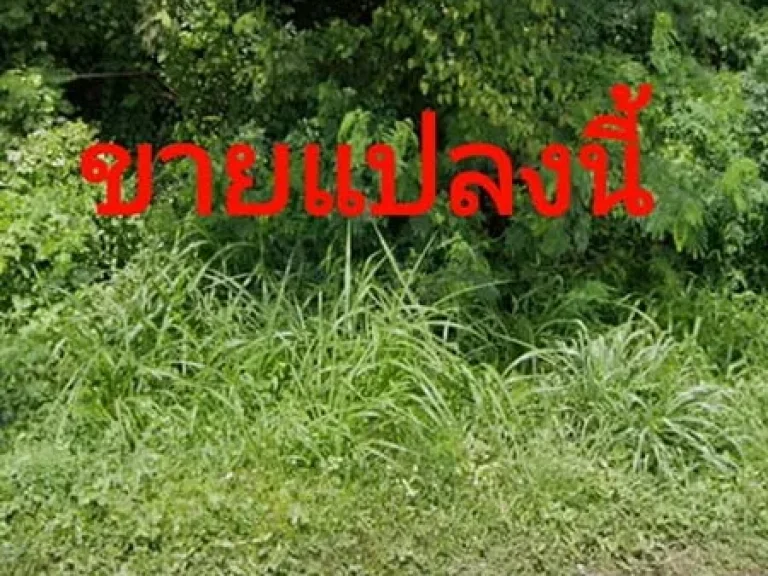 ขายที่ดินถมแล้ว เนื้อที่ 6 ไร่ ติดถนนทางหลวง ซอยเทศบาล 2 อบางแพ จราชบุรี