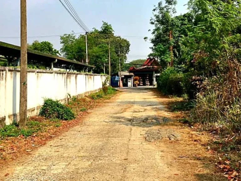 ขายที่ดิน ใกล้โรงพยาบาลแม่ริม ตำบลดอนแก้ว อำเภอแม่ริม จังหวัดเชียงใหม่