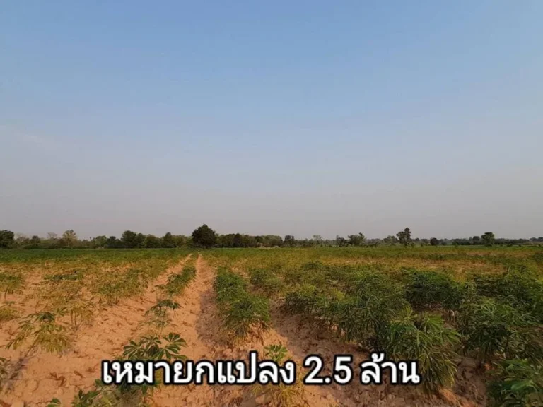 ขายที่ดินถูกกว่าชาวบ้าน 10 ไร่ 250000 บ บึงอ้อ อขามทะเลสอ กว้าง 62 ม ถมแล้ว