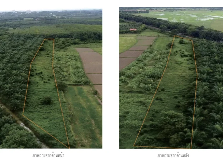 ที่ดินสวย ทำเลดี ห่างถนนตรัง-พัทลุงเพียง 900 เมตร ในซอยถนนลาดยางติดไทวัสดุ สาขาตรัง