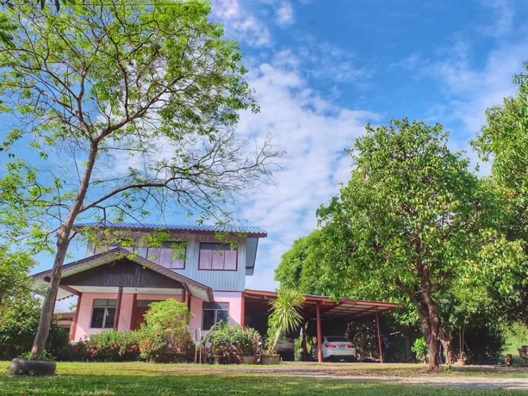 ขายด่วน บ้านสวนพร้อมที่ดิน หลังบ้านติดแม่น้ำท่าจีน ในอำเภอเมืองสุพรรณ บรรยากาศดี ใกล้กรุงเทพ เดินทางสะดวก