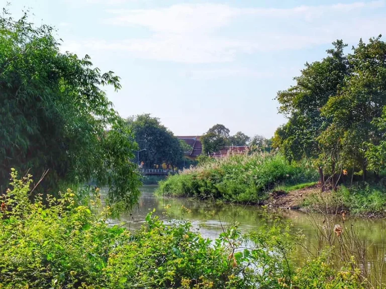 ขายด่วน บ้านสวนพร้อมที่ดิน หลังบ้านติดแม่น้ำท่าจีน ในอำเภอเมืองสุพรรณ บรรยากาศดี ใกล้กรุงเทพ เดินทางสะดวก