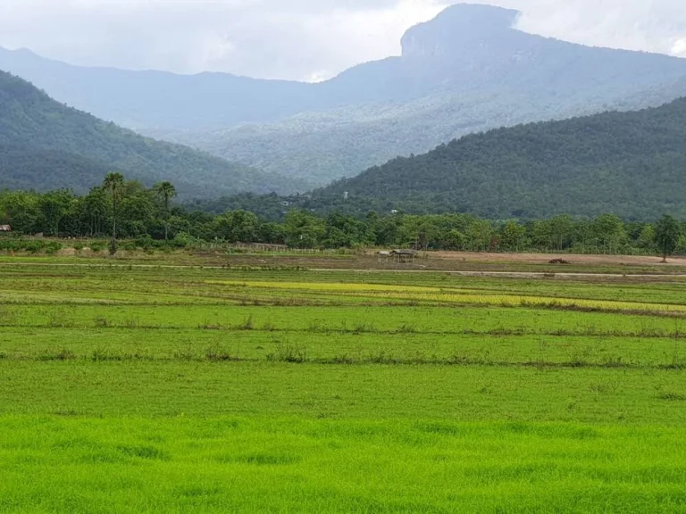 ขายที่ดินบ้านหลวงจอมทองวิวดอยอินทนนท์ วิวหัวเสือโฉนดพร้อมโอน