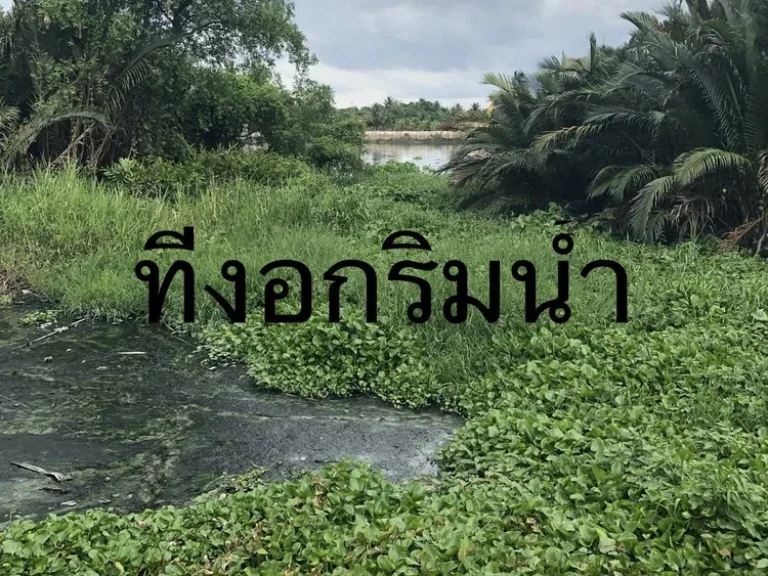 ขายที่ดิน ติดแม่น้ำท่าจีน ฝั่งแหลมดินงอก กระทุ่มแบน สมุทรสาคร