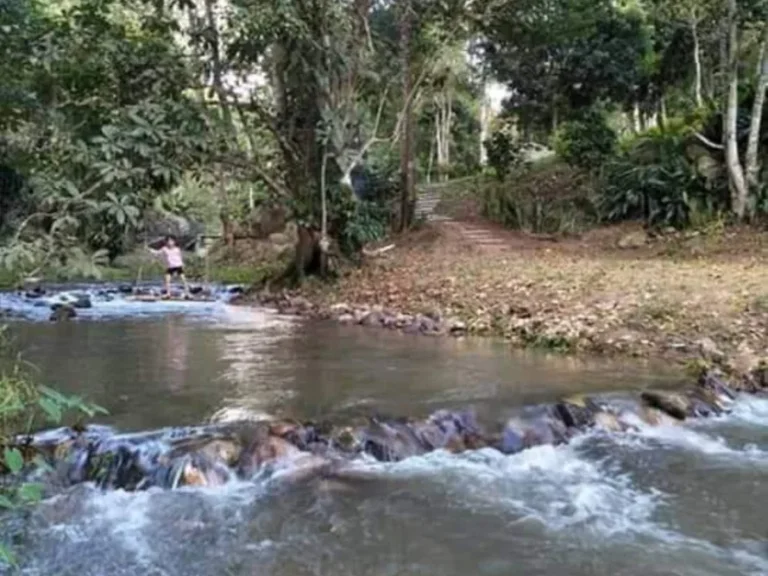 ขายที่ดินดอยสะเก็ตปางไฮติดลำธารน้ำไหลผ่านตลอดปีเอกสารใบตอบรับป่าไม้