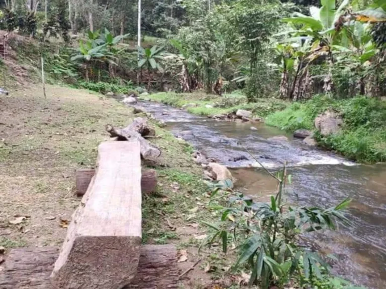 ขายที่ดินดอยสะเก็ตปางไฮติดลำธารน้ำไหลผ่านตลอดปีเอกสารใบตอบรับป่าไม้