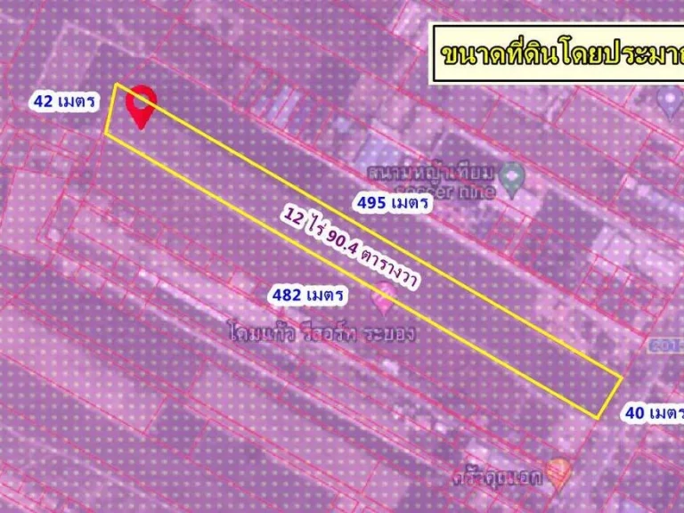 ขายที่ดินผังสีม่วงลาย พนานิคม นิคมพัฒนา ระยอง 12 ไร่เศษ