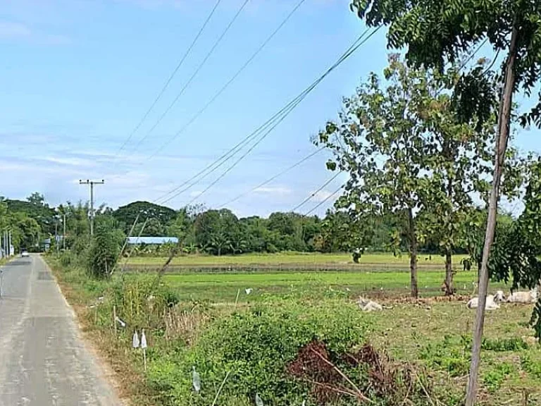 ที่ดินแปลงสวย วิวสวย ติดถนนลาดยางราคาถูก อุตรดิตถ์