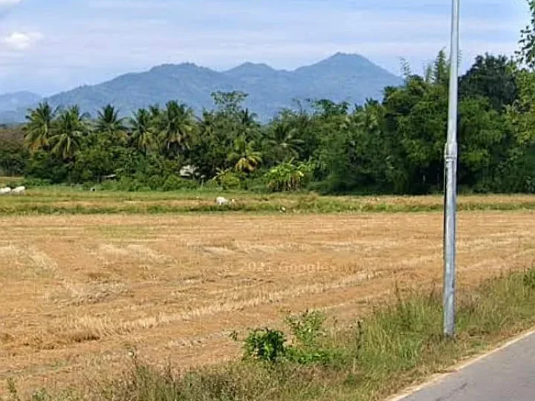 ที่ดินแปลงสวย วิวสวย ติดถนนลาดยางราคาถูก อุตรดิตถ์