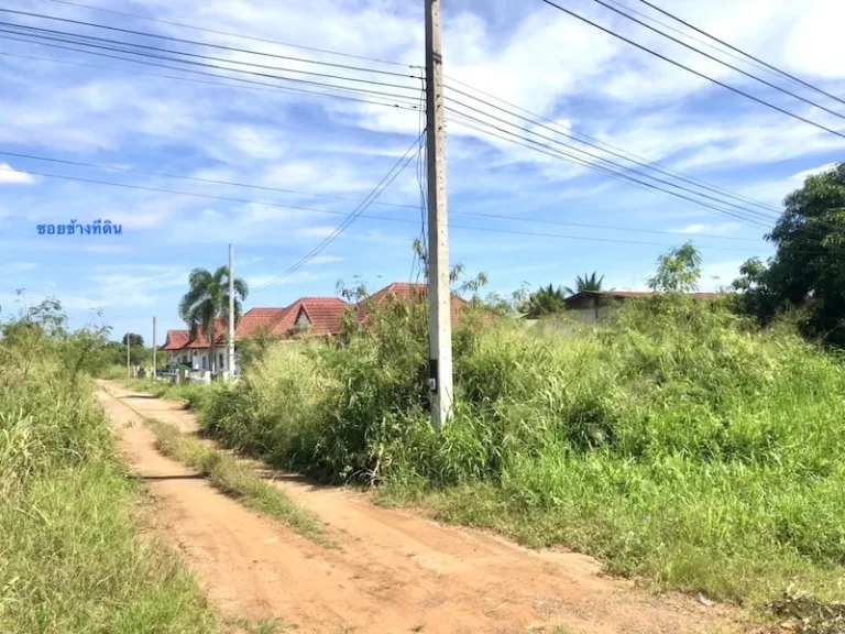 ขายที่ดินในเมืองเสิงสาง เนื้อที่ 8-3-67ไร่ ติดถนนหลัก ใกล้ที่ว่าการอำเภอเสิงสาง