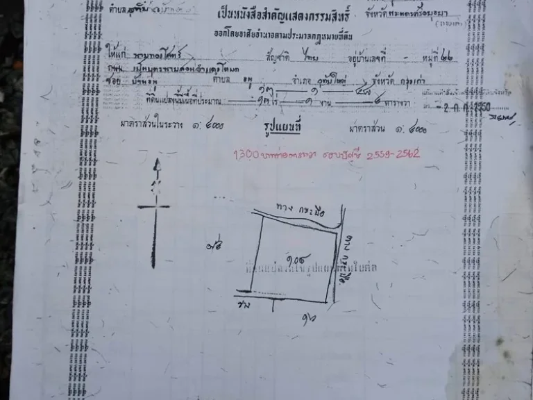 ขาย ที่ดิน 13 ไร่ 1 งาน 480 ตรว ตอุทัย ออุทัย จพระนครศรีอยุธยา